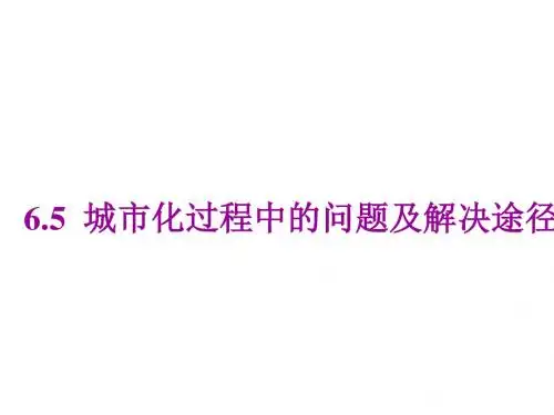 城市化过程中的问题及解决途径ppt 通用