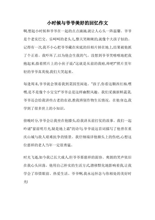 小时候与爷爷美好的回忆作文