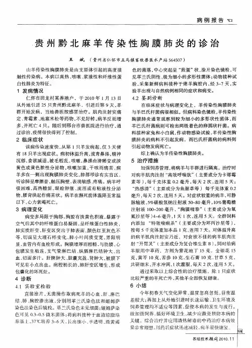 贵州黔北麻羊传染性胸膜肺炎的诊治