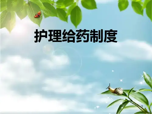 护理给药制度PPT课件