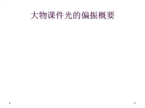 大物课件光的偏振概要