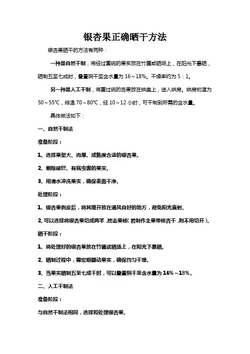 银杏果正确晒干方法