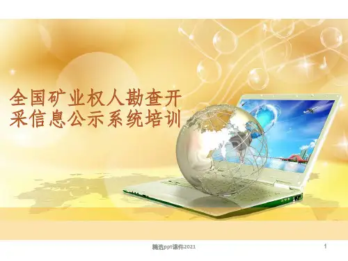 矿业权人勘查开采信息公示系统PPT课件