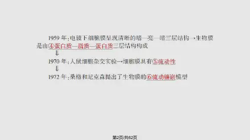 高三一轮复习123.pptx