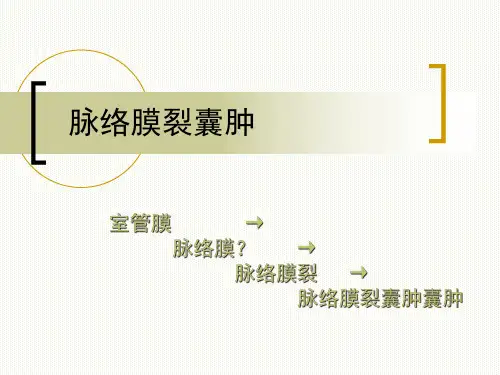 医学影像-脉络膜裂、脉络膜裂囊肿、室管膜
