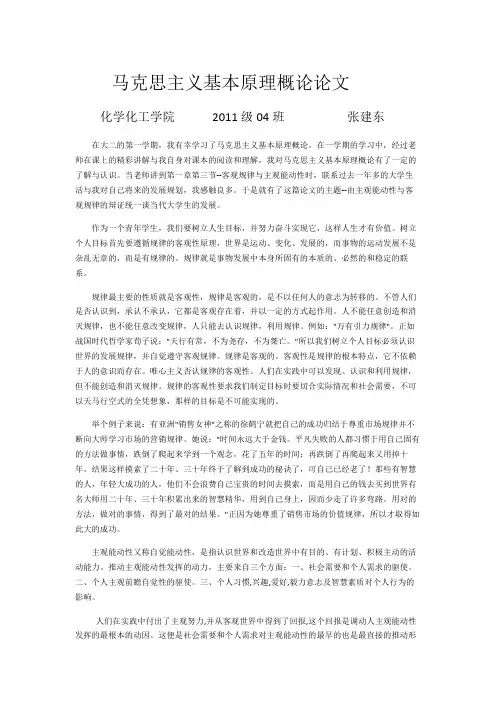 马克思主义基本原理概论论文
