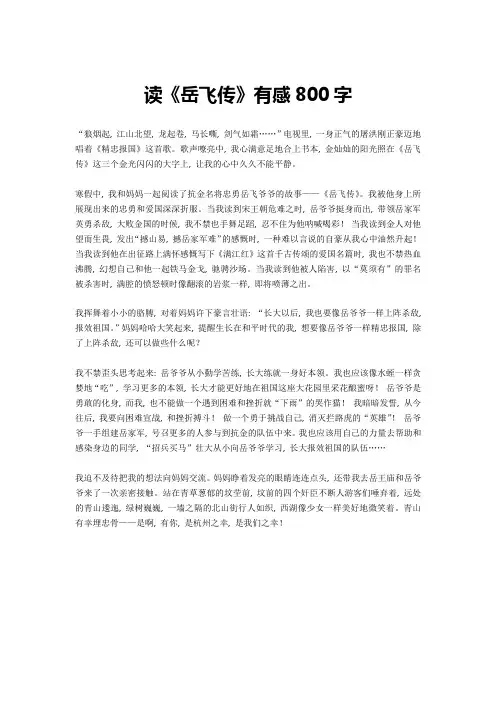 读《岳飞传》有感800字-1高分作文