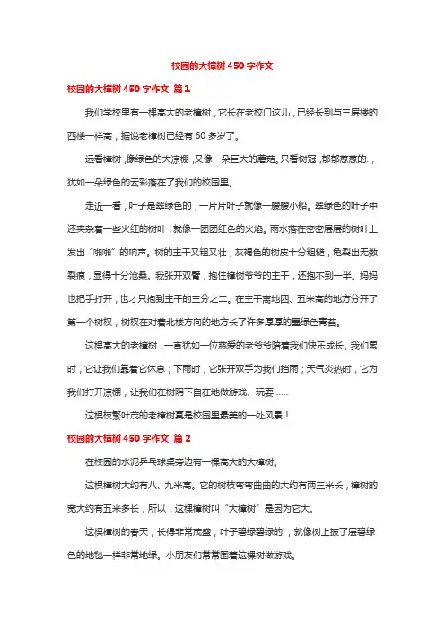 校园的大樟树450字作文