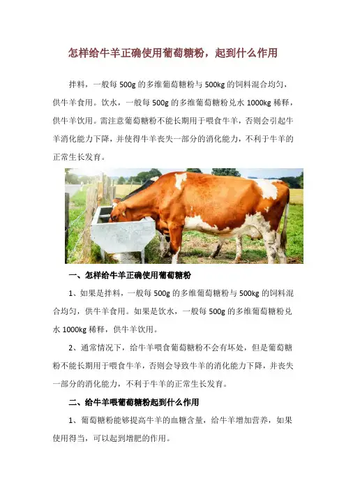 怎样给牛羊正确使用葡萄糖粉,起到什么作用
