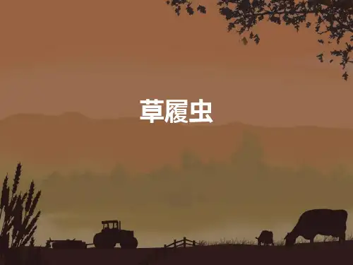 草履虫