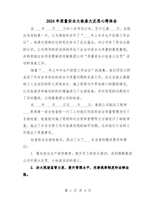 2024年质量安全大检查大反思心得体会（二篇）