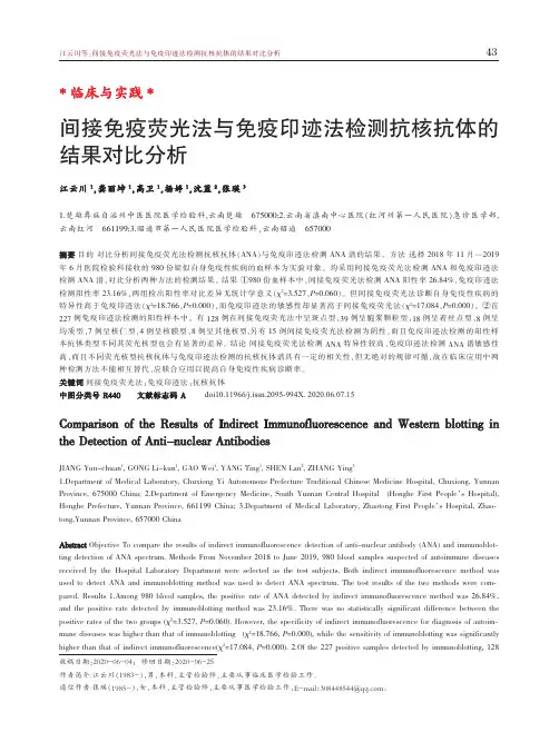间接免疫荧光法与免疫印迹法检测抗核抗体的结果对比分析