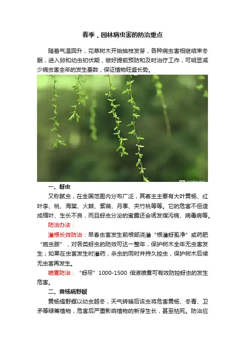 春季，园林病虫害的防治重点