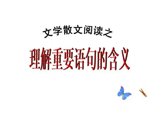 理解重要词句的含义