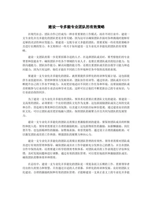 建设一专多能专业团队的有效策略
