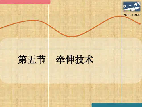 牵伸技术-ppt课件