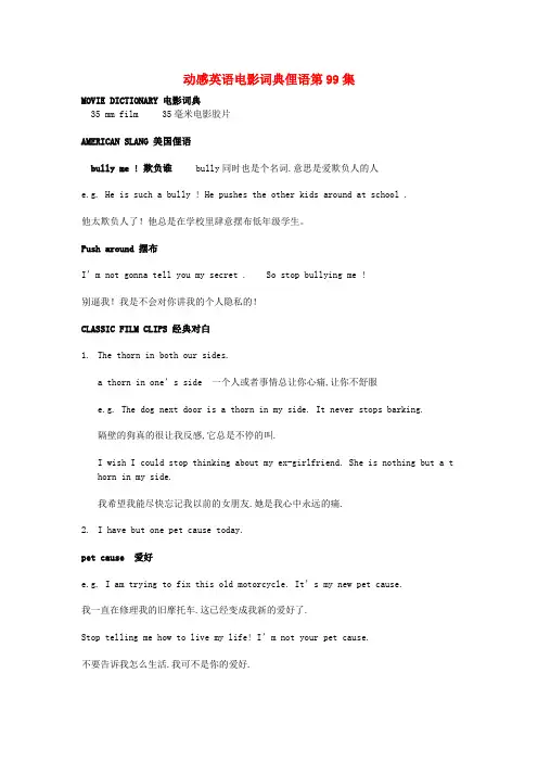 高中英语动感英语电影词典俚语第99集素材