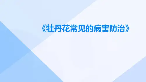 牡丹花常见的病害防治