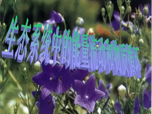 生态系统中的能量流动和物质循环.