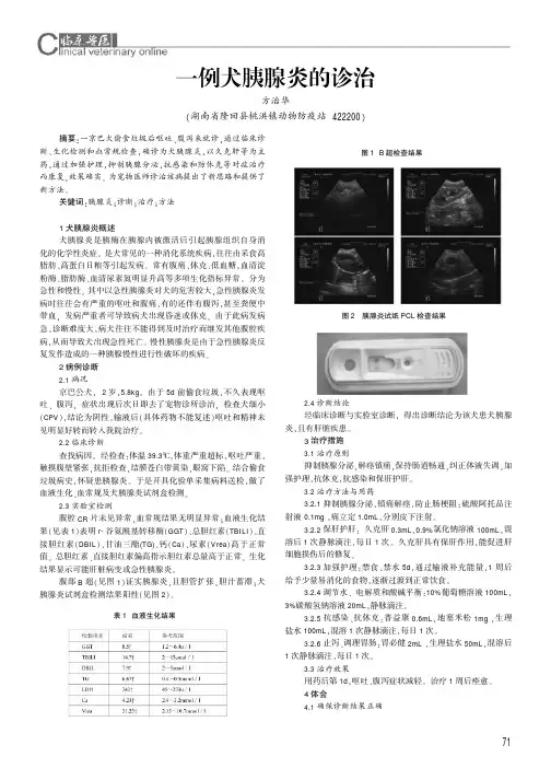 一例犬胰腺炎的诊治