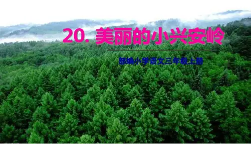 部编人教版三年级上册语文 第20课 美丽的小兴安岭 教学课件