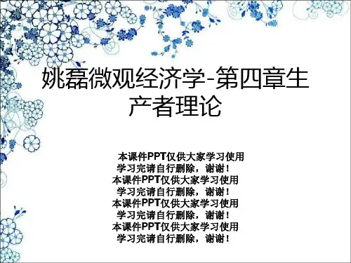 姚磊微观经济学-第四章生产者理论