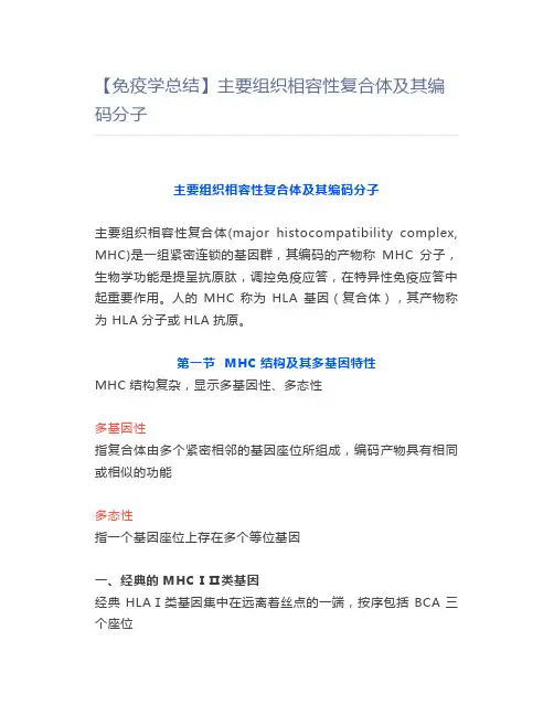 【医学】【免疫学总结】主要组织相容性复合体及其编码分子