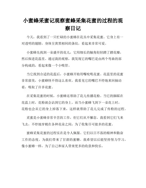 小学三年级作文小蜜蜂采蜜记观察蜜蜂采集花蜜的过程的观察日记
