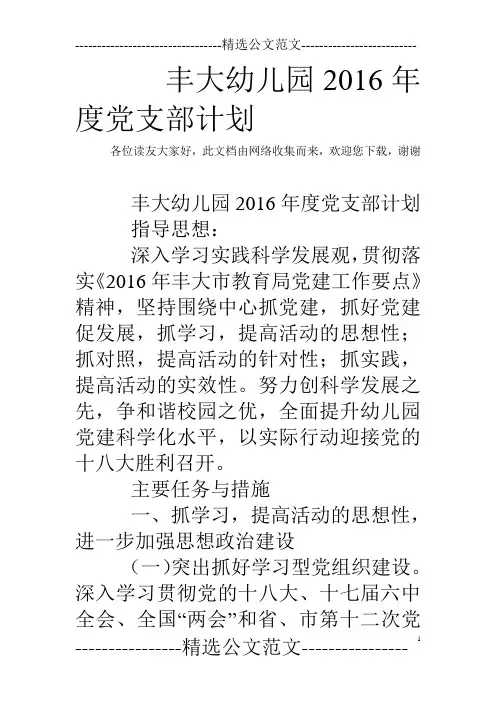 丰大幼儿园2016年度党支部计划