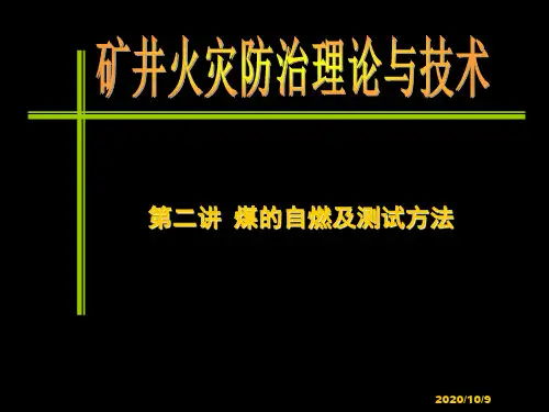 煤的自燃及测试方法