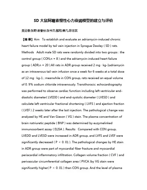 SD大鼠阿霉素慢性心力衰竭模型的建立与评价