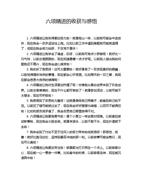 六项精进的收获与感悟
