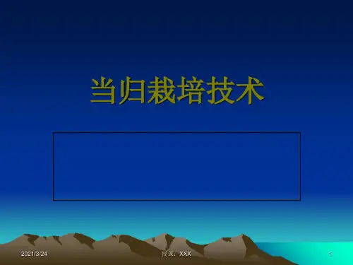 当归栽培技术PPT课件