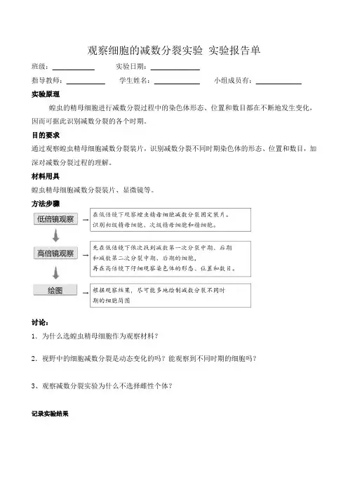 观察细胞的减数分裂实验(实验报告)