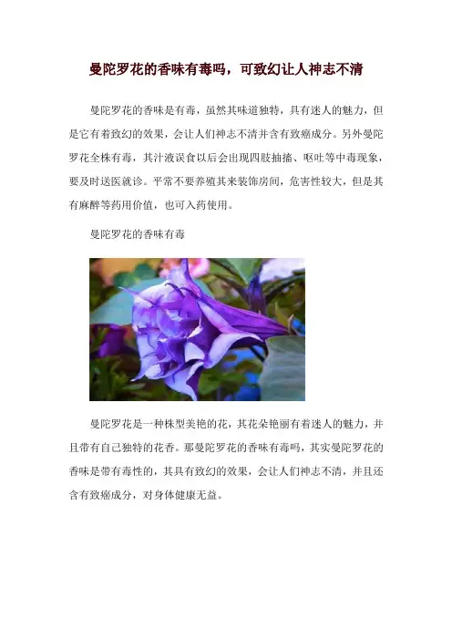 曼陀罗花的香味有毒吗,可致幻让人神志不清