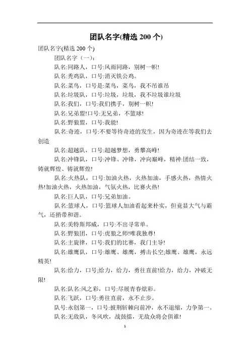 团队名字(精选200个)