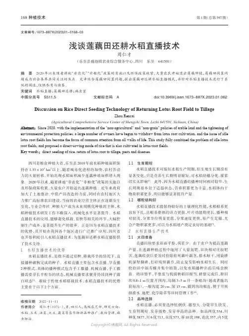 浅谈莲藕田还耕水稻直播技术