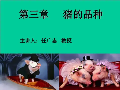 猪生产学  河南农业大学  第3章  猪的品种(1)