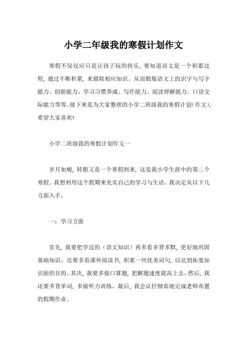 小学二年级我的寒假计划作文