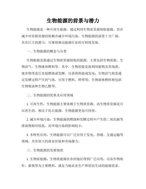 生物能源的前景与潜力