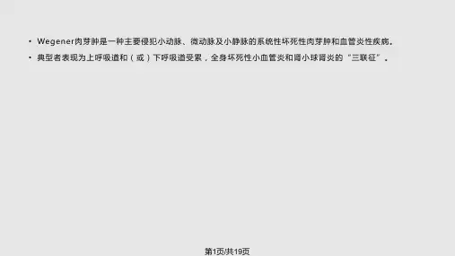 韦格纳肉芽肿PPT课件