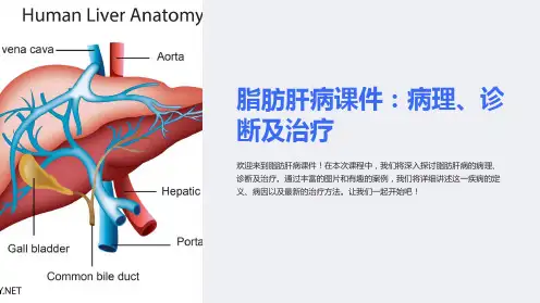 脂肪肝病课件：病理、诊断及治疗