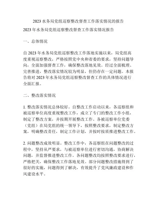 2023水务局党组巡察整改督查工作落实情况的报告