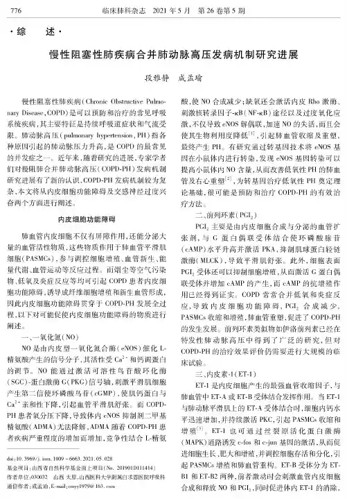慢性阻塞性肺疾病合并肺动脉高压发病机制研究进展