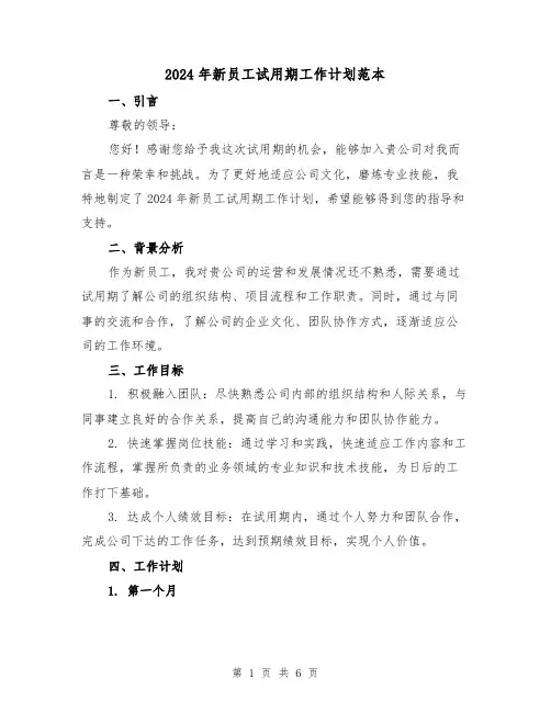 2024年新员工试用期工作计划范本(3篇)