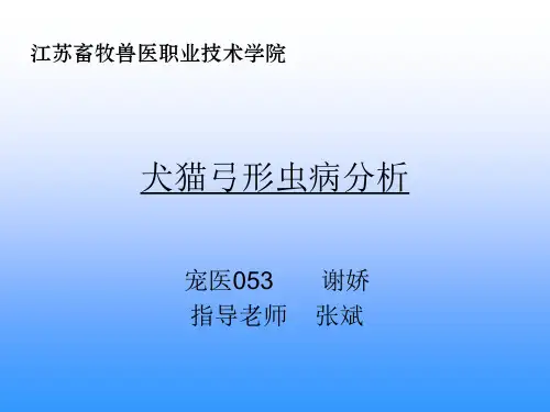 犬猫弓形虫病分析