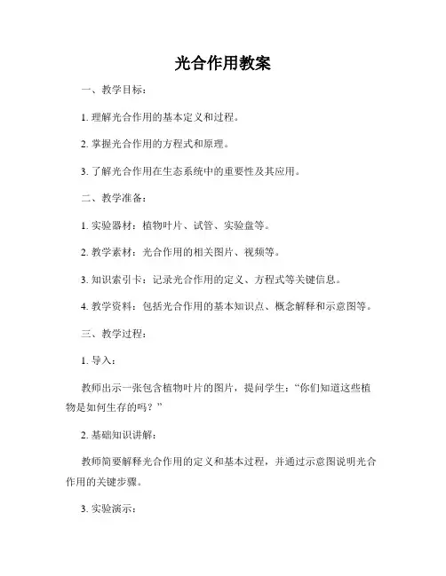 光合作用教案