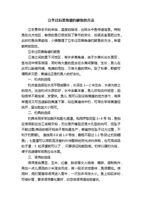 立冬过后菱角塘钓鲫鱼的方法