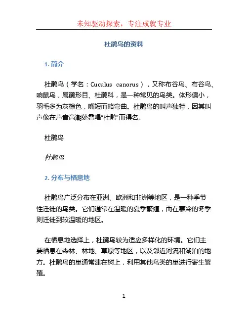 杜鹃鸟的资料