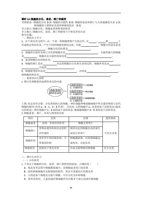 高三一轮复习生物教学案课时14:细胞的分化、衰老、凋亡和癌变